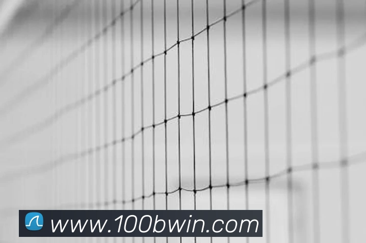 bwin必赢亚洲官网平台平台生态图